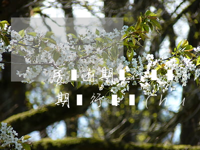 房貸逾期銀行還會(huì)扣款嗎(房貸逾期銀行還會(huì)扣款嗎)