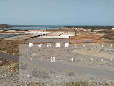 房貸逾期開(kāi)庭后法院還會(huì)調(diào)解嗎(房貸逾期起訴開(kāi)庭了可以協(xié)商嗎)