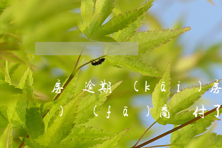 房貸逾期開(kāi)，房貸逾期開(kāi)發(fā)商墊付了業(yè)主怎么處理