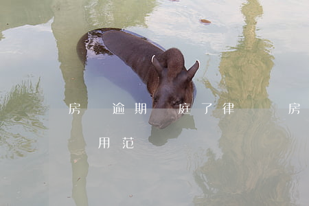 房貸逾期開庭了律師費 房貸逾期被起訴律師費用范圍