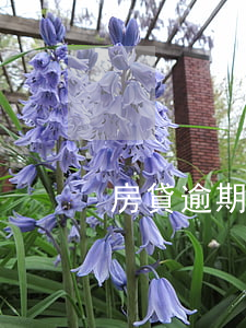 房貸逾期開庭答辯(貸款逾期開庭)