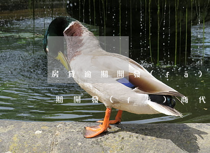 房貸逾期開發(fā)商代償后起訴(房貸逾期開發(fā)商代償后起訴業(yè)主,房子權(quán)利)