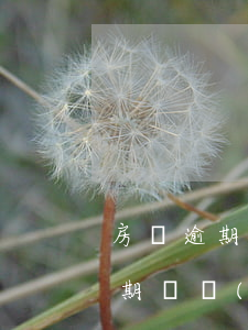 房貸逾期開發(fā)商代償后起訴(房貸逾期開發(fā)商代償后起訴業(yè)主,房子權利)