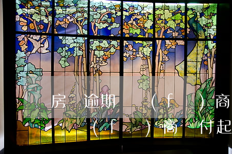 房貸逾期開發(fā)商墊付起訴(房貸逾期開發(fā)商墊付起訴)
