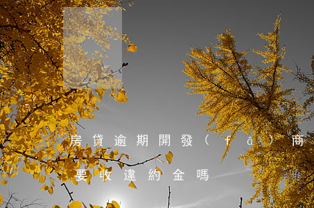 房貸逾期開發(fā)商收違約金(貸款逾期要收違約金嗎)