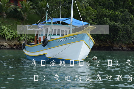 房貸逾期開發(fā)商會交房嗎(開發(fā)商逾期交房仲裁有用嗎)