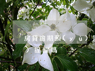 房貸逾期預(yù)警(房貸逾期會(huì)提醒嗎)