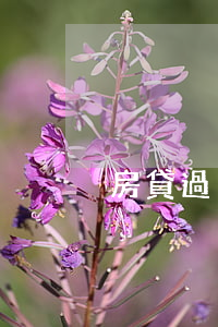 房貸過10天天算逾期嗎