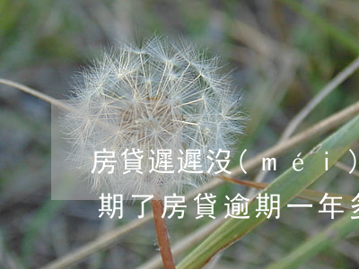 房貸遲遲沒(méi)下來(lái)_逾期了(房貸逾期一年多沒(méi)有被起訴)