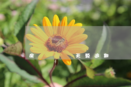 房貸遲還兩天算逾期嗎(遲兩天還款算逾期嗎)