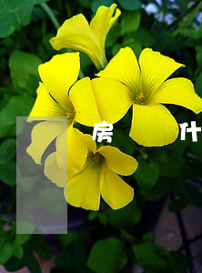 房貸選什么時間能不逾期