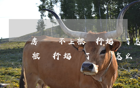房貸還不上被銀行起訴了怎么辦(房貸還不起被銀行起訴了這個怎么辦)