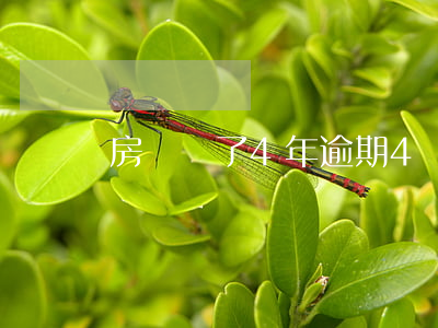 房貸還了4年逾期4個月(四年前有逾期能房貸嗎)
