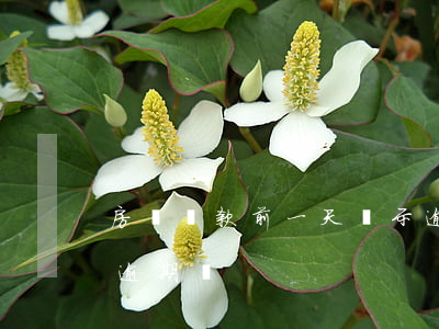 房貸還款前一天顯示逾期(房貸最后一天還是逾期嗎)