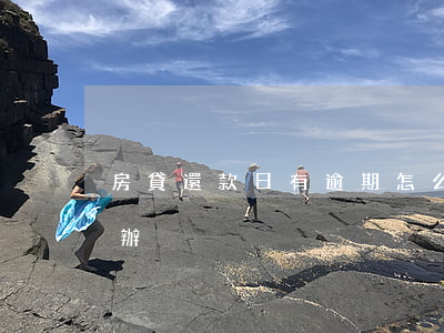 房貸還款日有逾期怎么辦(還款日逾期了怎么辦)