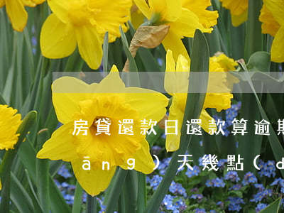 房貸還款日還款算逾期嗎(房貸還款日當(dāng)天幾點(diǎn)之前還款不算逾期)
