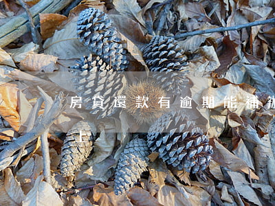 房貸還款有逾期能補辦嗎(房貸逾期了怎么補上)