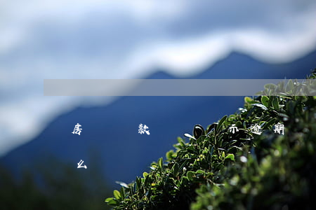 房貸還款記錄顯示逾期嗎(房貸有逾期記錄怎么辦)