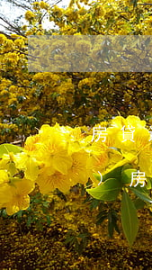 房貸還款逾期10個(gè)小時(shí)(房貸逾期幾個(gè)小時(shí))