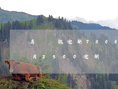 房貸還款逾期7000塊(房貸一個(gè)月2500逾期違約金是多少)
