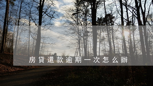 房貸還款逾期一次怎么辦