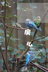 房貸還款逾期兩天怎么辦(還房貸逾期2天怎么辦)