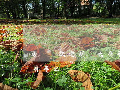 房貸還款逾期兩天有事么(房貸還款逾期兩天有事么)