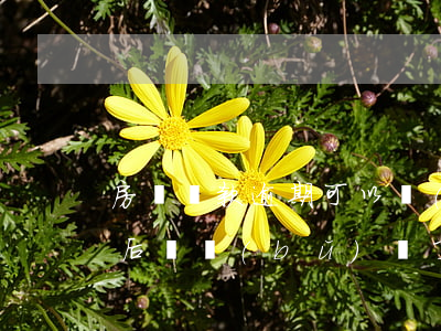 房貸還款逾期可以補(bǔ)救嗎(房貸逾期后來補(bǔ)齊了)