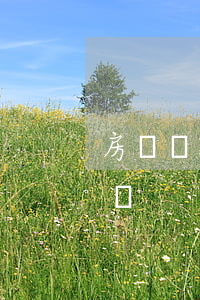 房貸還款逾期后期怎么辦(住房還款逾期怎么辦)