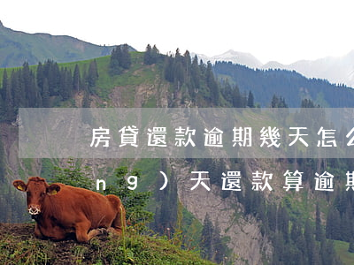 房貸還款逾期幾天怎么辦(房貸逾期當(dāng)天還款算逾期嗎)