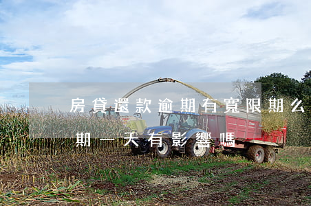 房貸還款逾期有寬限期么(房貸過了寬限期逾期一天有影響嗎)