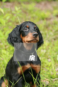 房貸還款逾期的怎么補繳(住房還款逾期怎么辦)