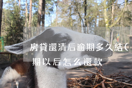 房貸還清后逾期多久結(jié)束(房貸逾期以后怎么還款)