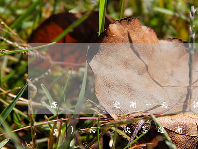 房貸還貸逾期一天貸款(房貸逾期當(dāng)天還款算逾期嗎)