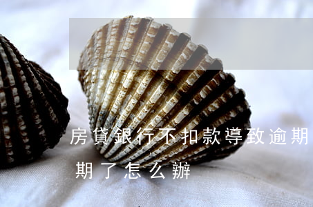 房貸銀行不扣款導致逾期(銀行貸款沒扣夠逾期了怎么辦)