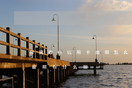 房貸銀行信用卡逾期怎么辦理(銀行卡信用卡逾期有什么辦)