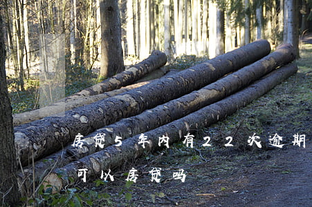 房贷5年内有22次逾期(五年内逾期16次可以房贷吗)