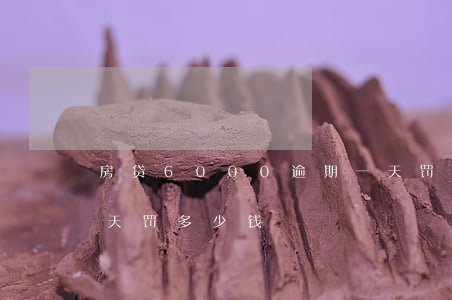 房贷6000逾期一天罚息多少 房贷逾期几天 罚多少钱