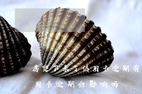 房贷下来了信用卡逾期有关系吗（名下有房信用卡逾期会影响吗）