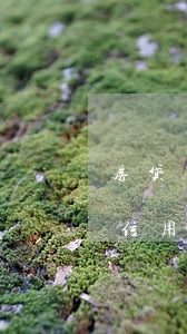 房贷下来了信用卡逾期有影响吗(房贷下来了信用卡逾期有影响吗吗)