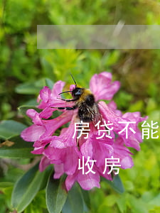 房贷不能逾期会被收房吗(多久不还房贷会被收房)