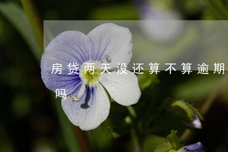 房贷两天没还算不算逾期(房贷过两天算逾期吗)