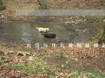 房贷为什么逾期就被起诉(房贷一直逾期的后果)