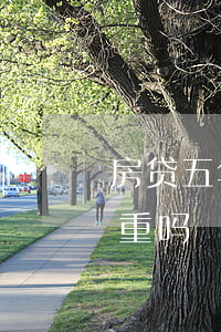 房贷五年内逾期了19次(房贷逾期5次算严重吗)