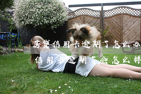 房贷信用卡逾期了怎么办(我有房子贷款,后面信用卡逾期了会怎么样)