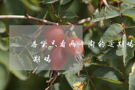 房贷只看两年内的逾期吗(房贷两天没还算逾期吗)