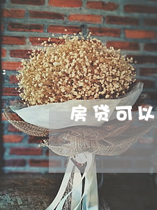 房贷可以不逾期吗(有逾期就不能贷款买房吗)