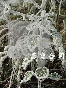 房贷合同纠纷找哪个部门