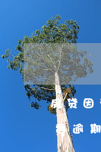 房贷因为信用卡年费逾期(房贷因为信用卡年费逾期了)