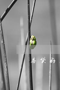 房贷好几次逾期一天两天(房贷多次逾期一天)